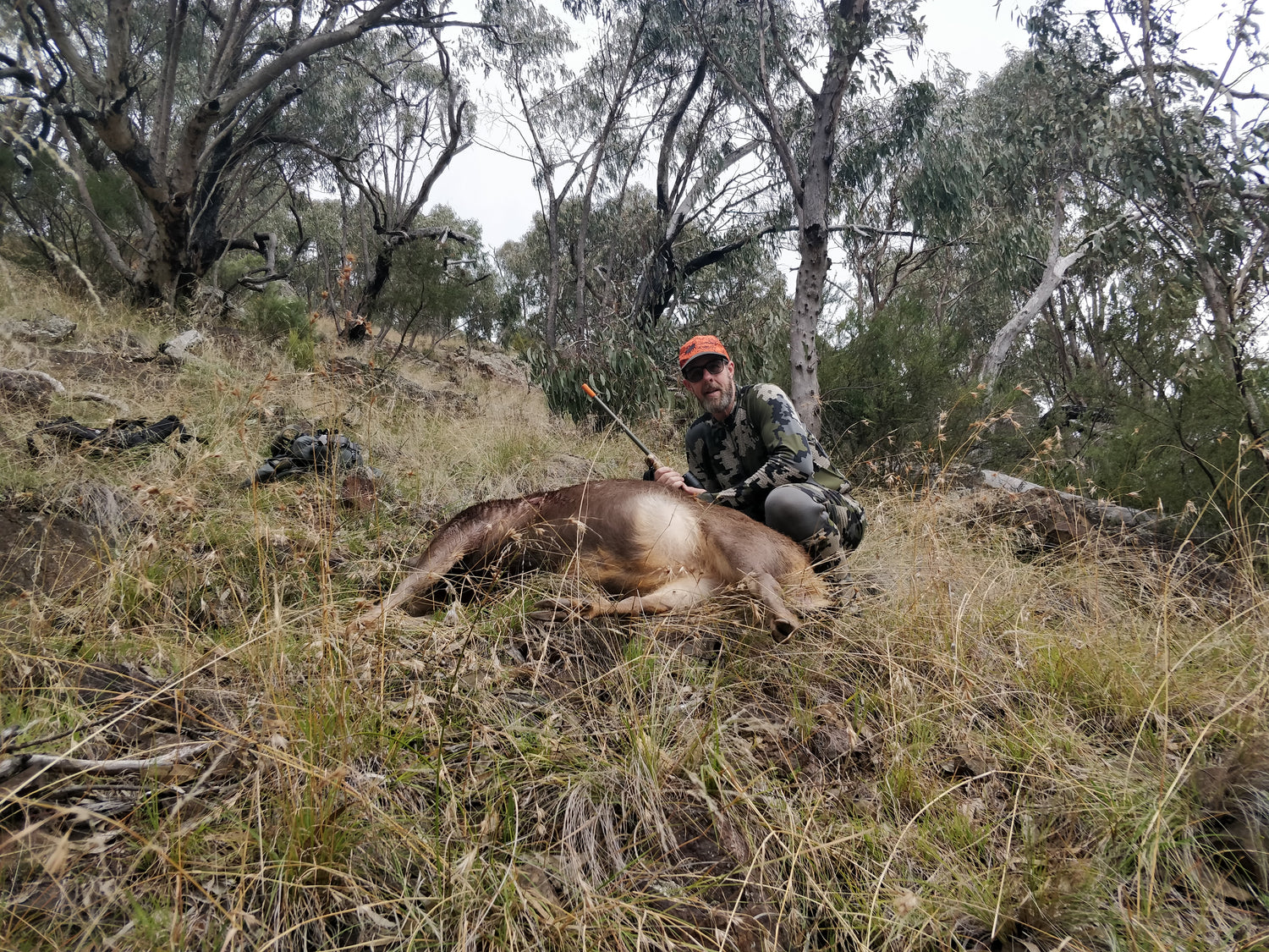 Beautiful Animal She provided a great Harvest.