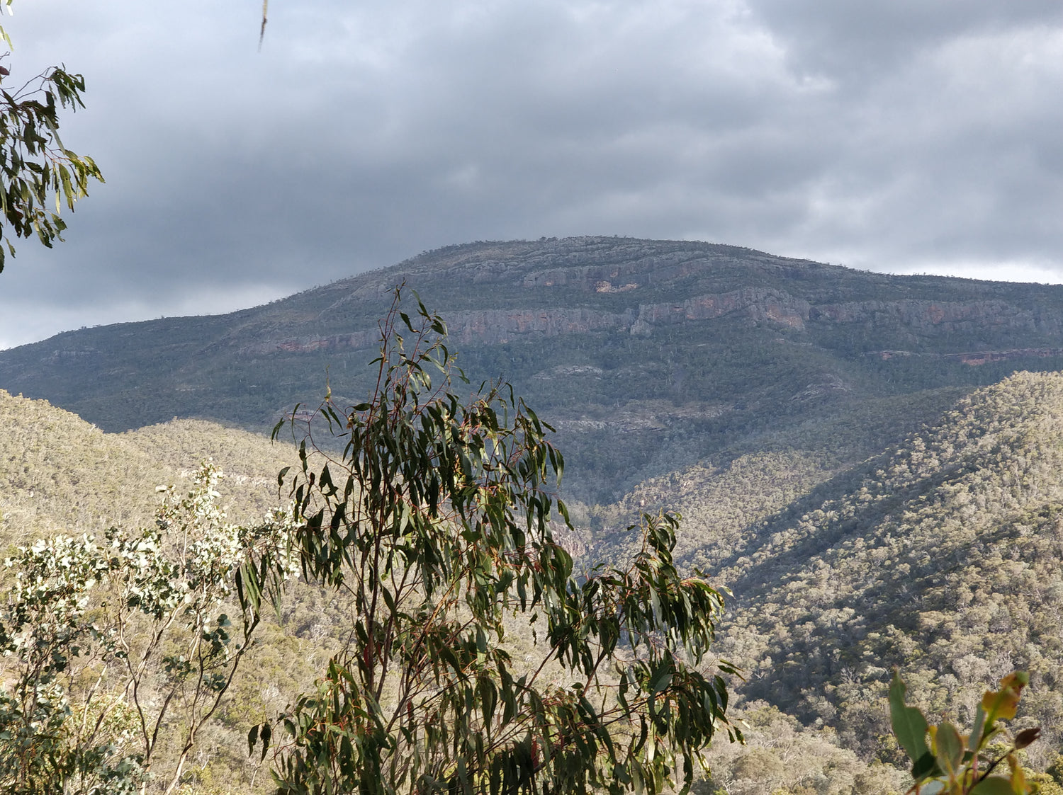 What a magnificent land ( Snowy Bluff)